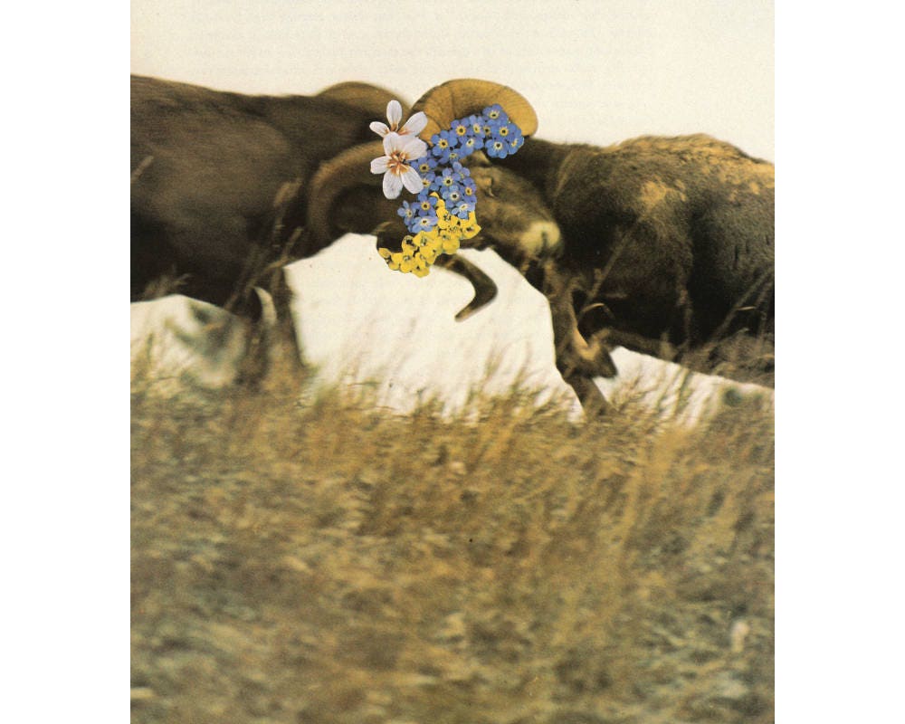 Peaceable Kingdom, Rams Art Print, Original Paper Collage Art, Satire, Satirical Zoology Animal Contemporary Nature