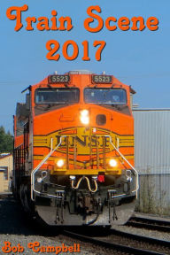 Train Scene 2017 Bob Campbell Author
