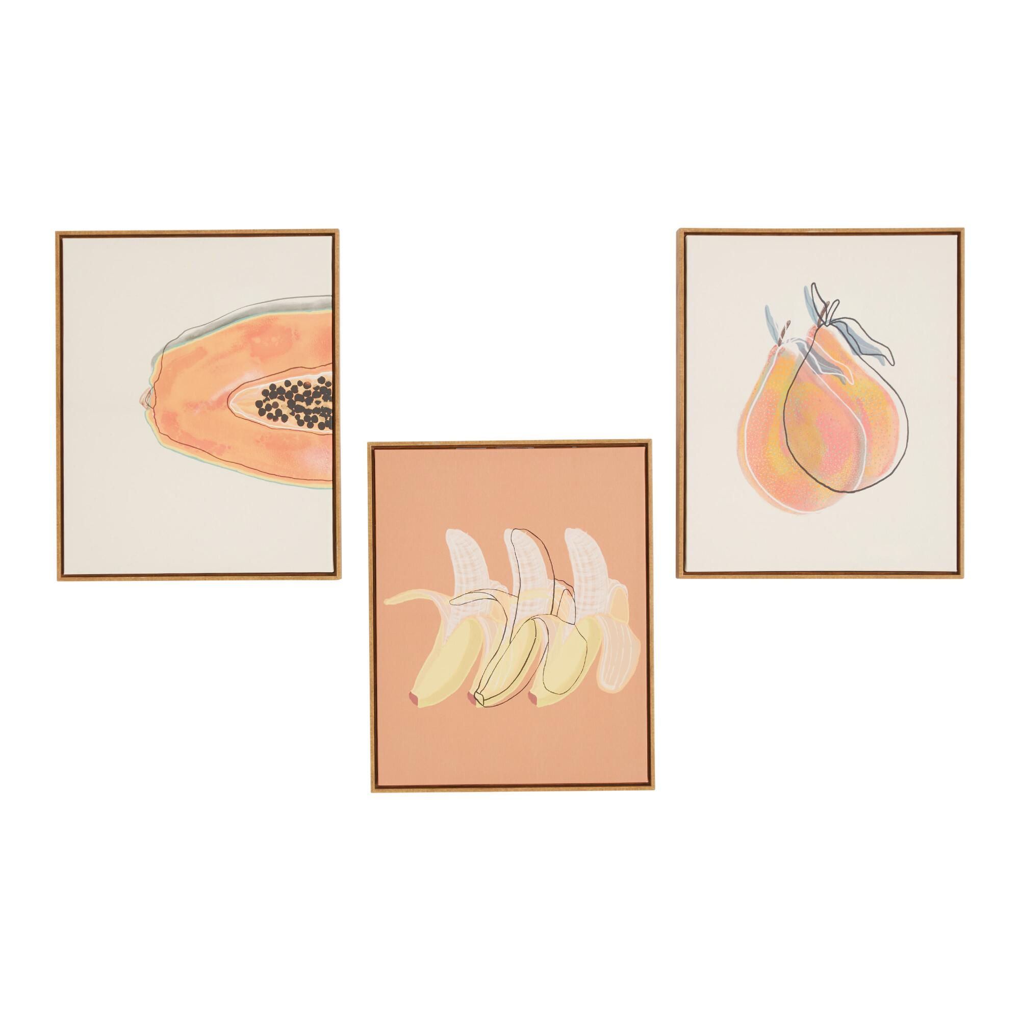 Funky Fruit Line Drawn Framed Canvas Wall Art 3 Piece: Multi by World Market