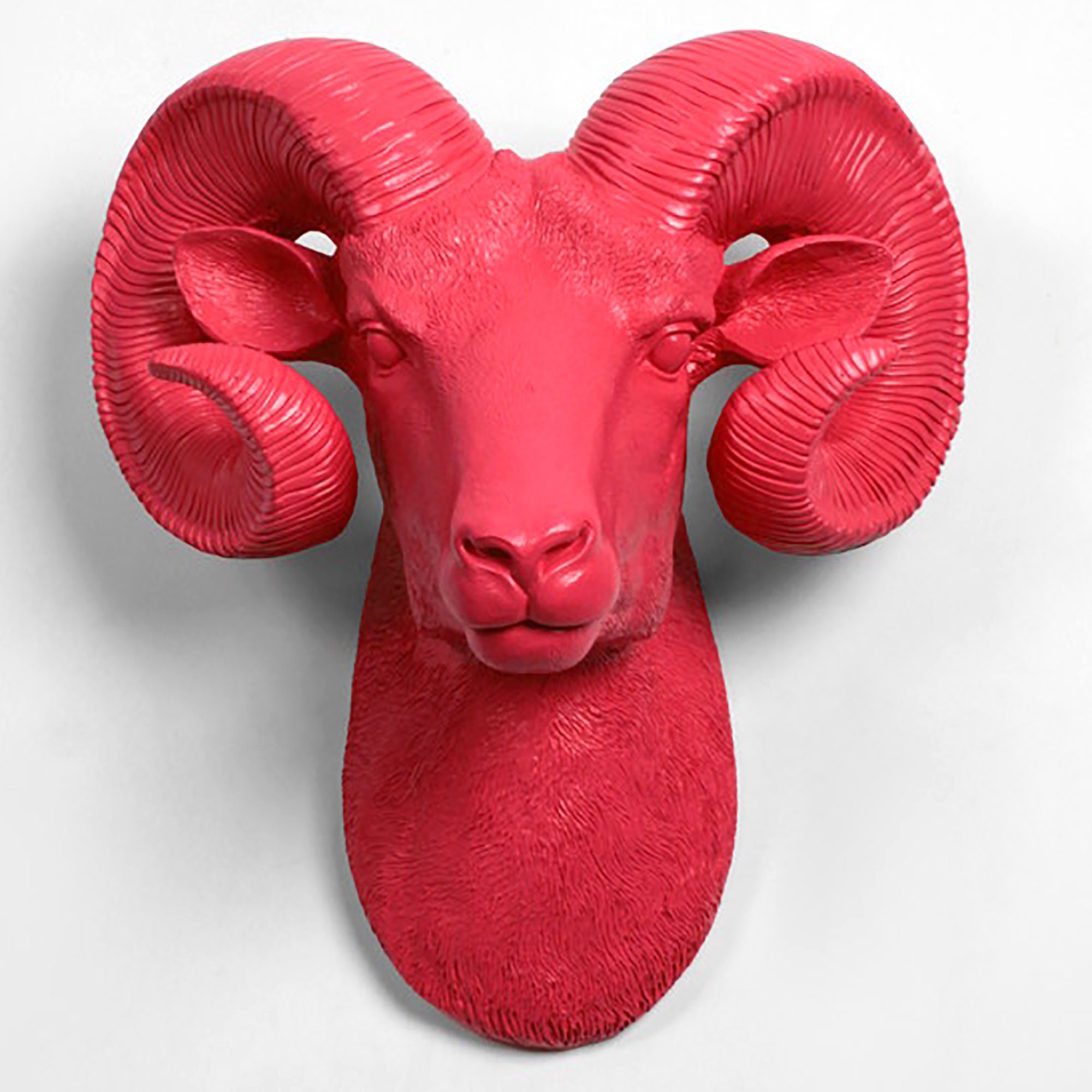 xl Coral Ram Head Wall Mount - The Darby Rustic Bighorn Sheep/Ram, Modern Farmhouse Home Decor By White Faux Taxidermy