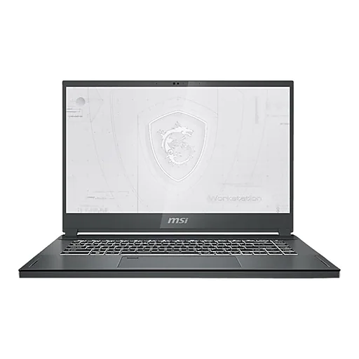 MSI WS66 11UKT 269 15.6" Laptop, Intel Core i9, 32GB Memory, 1TB SSD, Windows 10 Pro (WS6611269)