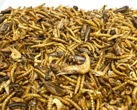 Animal Protein Mix - Small Pet Treats