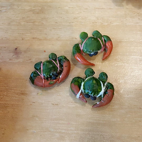 Miniature Crab, Dollhouse Crabs, Miniature Food, Miniature Diy, Miniature Animals, Miniature Food, Dollhouse Food, Seafood, Diy, Crab