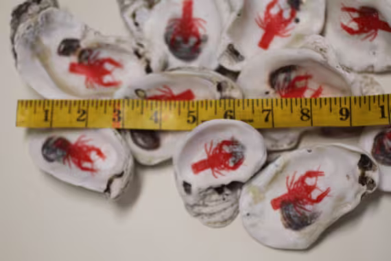 Shorely Yours Handmade, Oyster Decoupaged, Free Standing, Cajun, Crawfish, Bayou Decor, Seafood Decor, Mudbugs, Ss-135