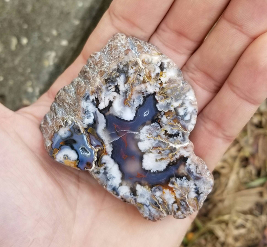 Red White Blue Fortification Agate With Plumes | Montana Usa