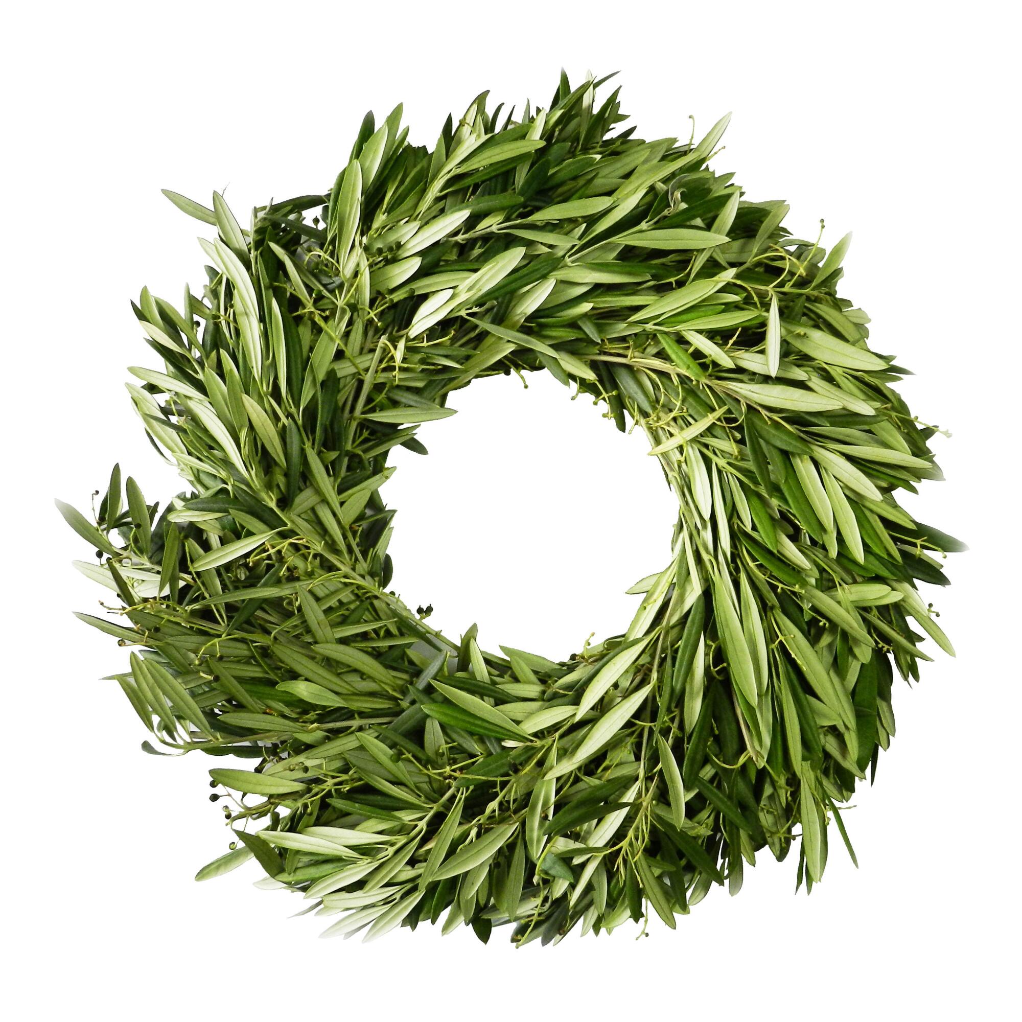 Fresh Olive Branch Wreath by World Market