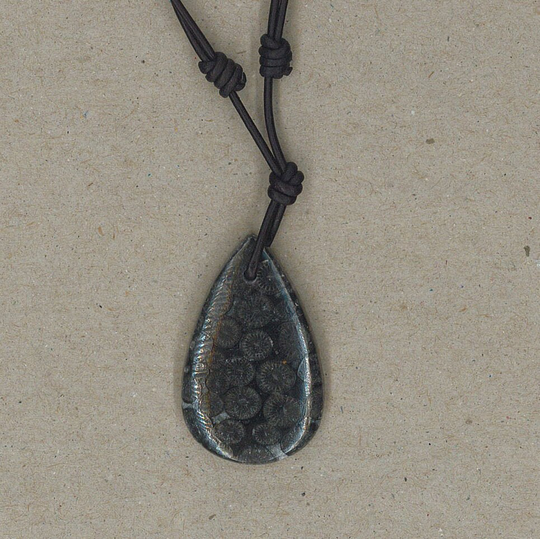 Fossil Coral Pendant Adjustable Leather Necklace Handmade By Chris Hay