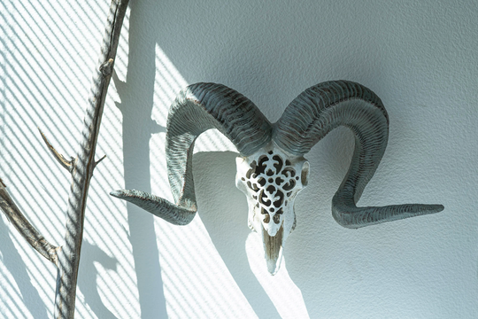 Carved Bighorn Ram Skull Wall Decor