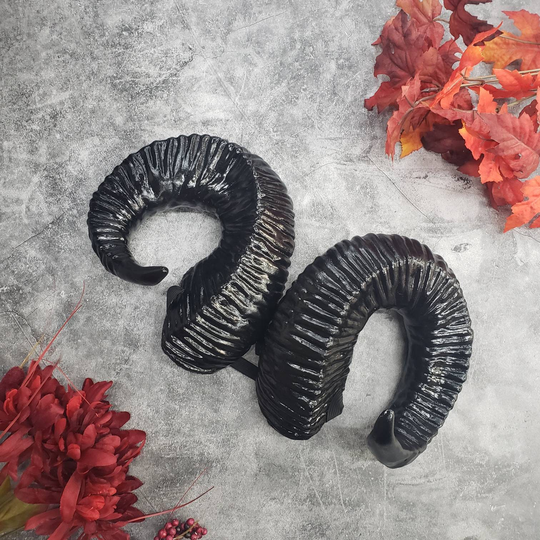 Ram Horns | Molly Mauk Option