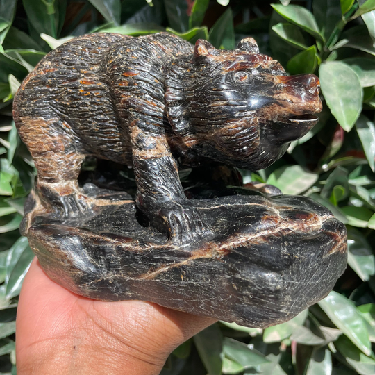 Rare Royal Zebra Amber Bear Carving
