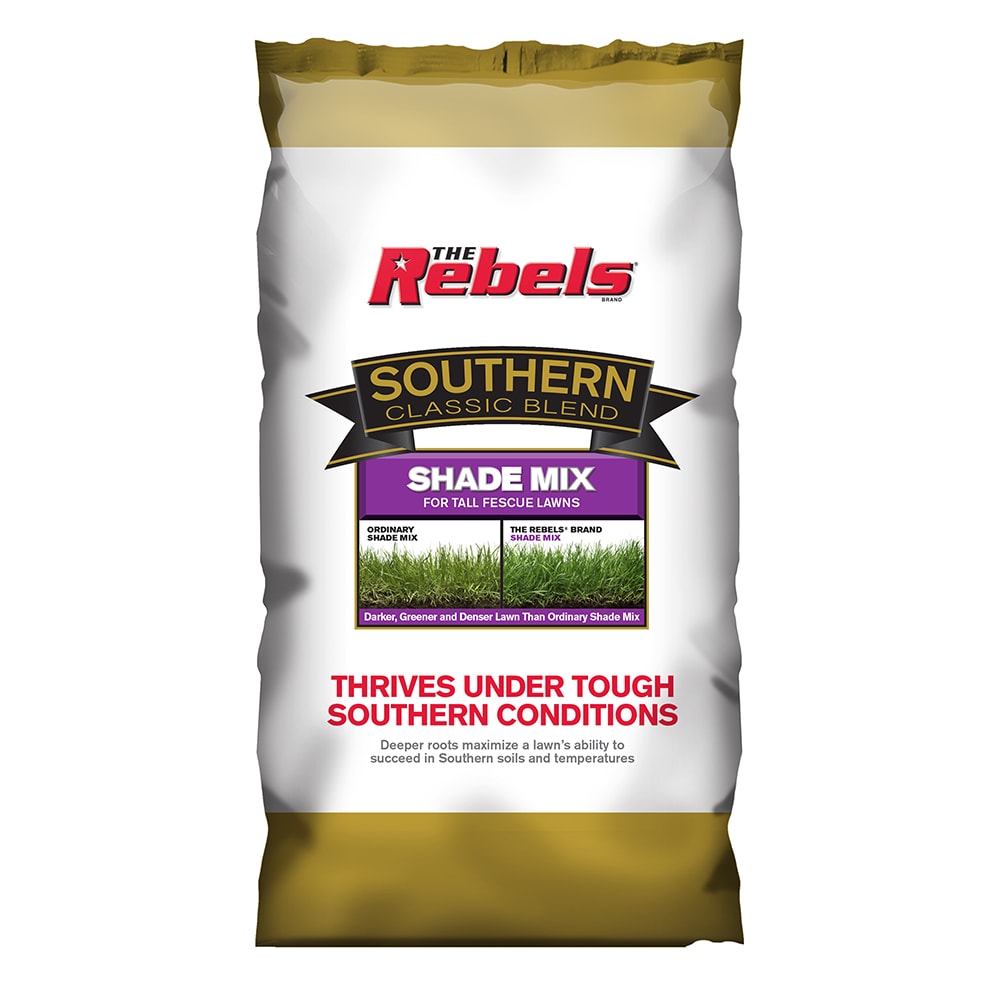 Rebel Southern Classic 3-lb Mixture/Blend Grass Seed | 2149601344