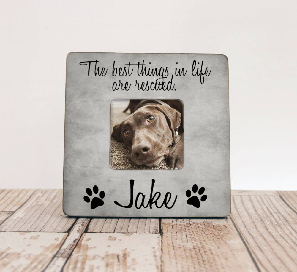 Pet Picture Frame, Adoption Gift, The Best Things in Life Are Rescued, Lover Rescue