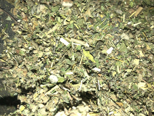 No.17 Herbal Blend Mix Skullcap Mullein Damiana Marshmallow Leaf Mugwort Organic Bulk Spice Discounters Business Since 1990