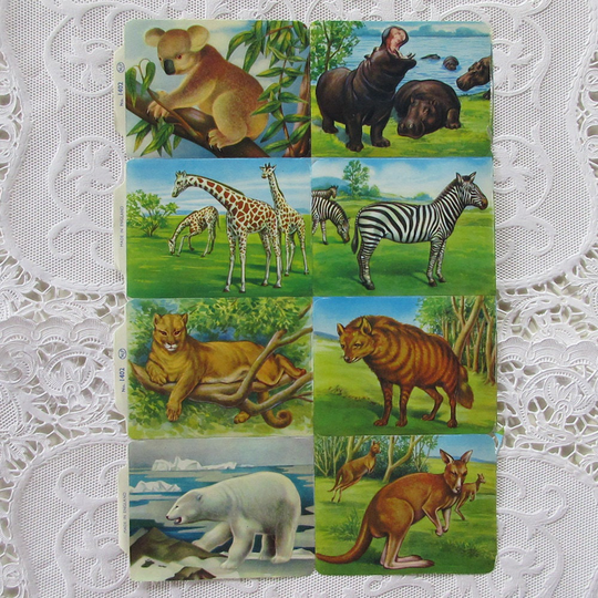 England Vintage Animals Lithographed Die Cut Paper Scraps Out Of Print Mp 1402A
