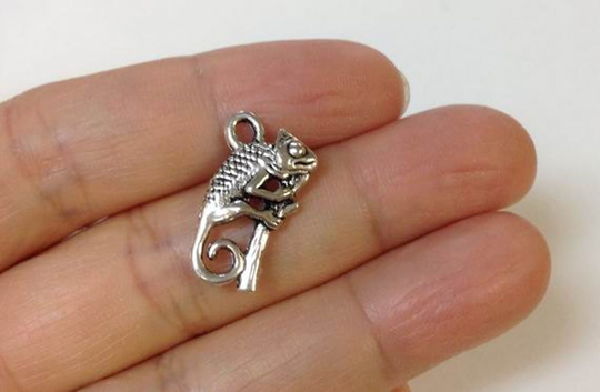4/10/50 Chameleon Charm