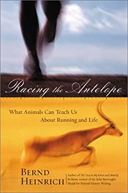 Racing the Antelope : What Animals Can Teach Us about Running and Life by Bernd Heinrich