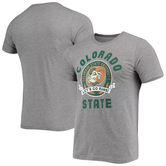 Men's Homefield Heathered Gray Colorado State Rams Let's Go Rams Vintage Tri-Blend T-Shirt, Size: XL, Grey