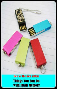 Best of the Best Sellers Things You Can Do With Flash Memory ( recollection, remembrance, reminiscence, impression, store, cache, disk, RAM, ROM, hard