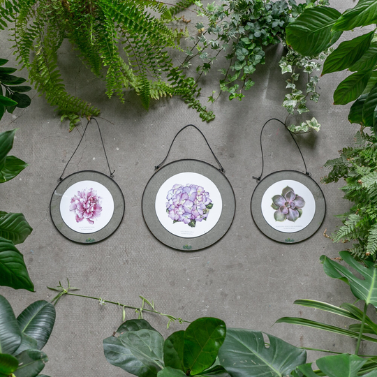 Set Of 3 Framed Botanical Prints in Stained Glass. Flower Home Decor Succulent, Hydrangea, Peony. Floating Frame Wall Hanging Art Roslynka