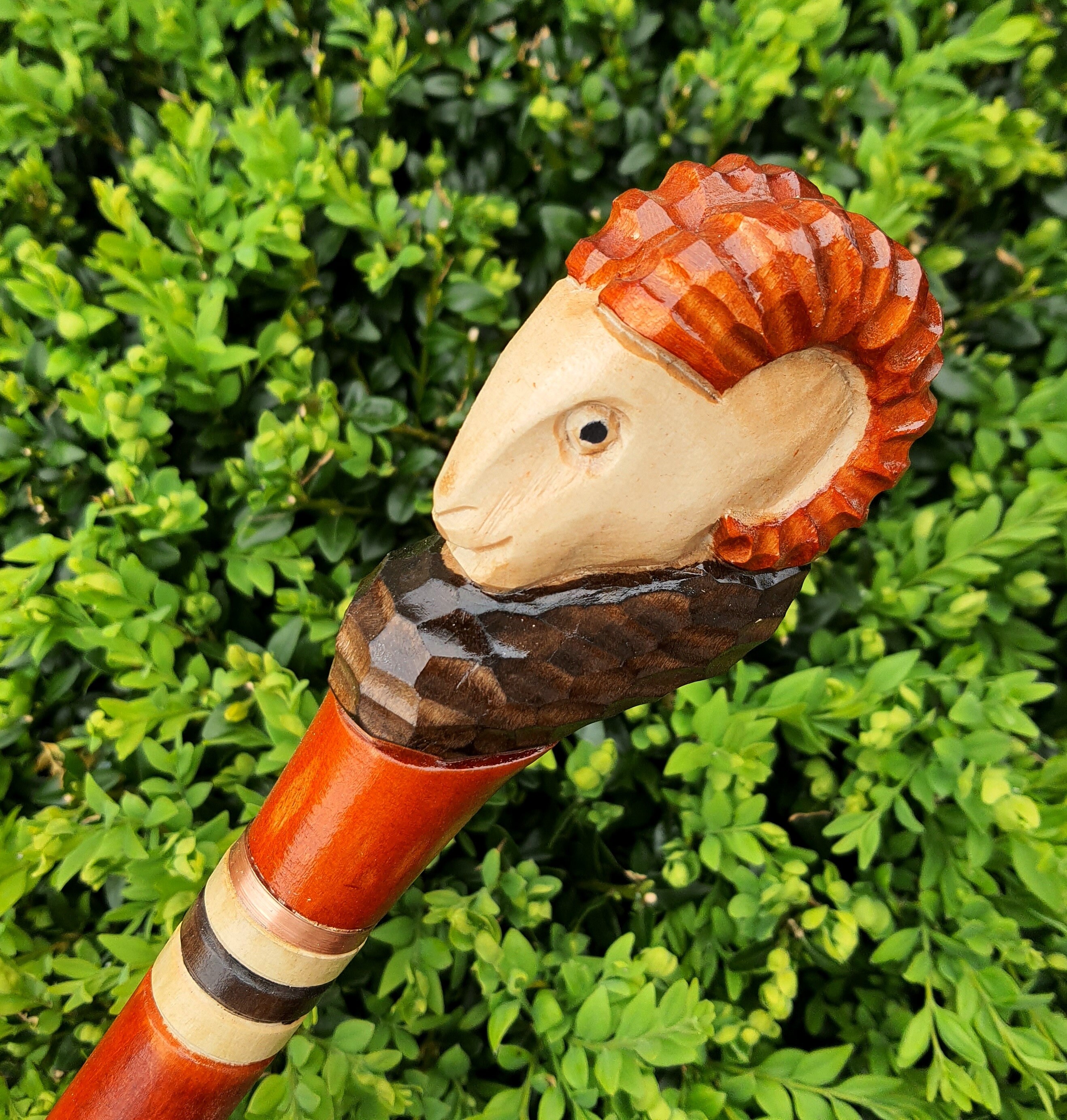 Walking Stick Canes Reed Wood Wooden Hand-Carved Carving Handmade Cane Accessories | Ram Head