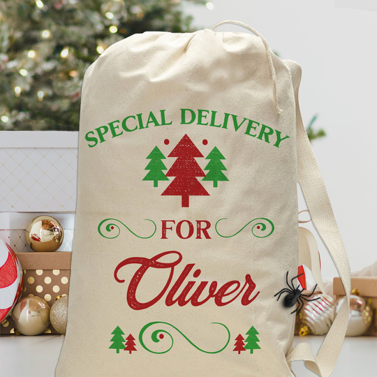 Special Delivery Bag From Santa Large Christmas Gift Custom