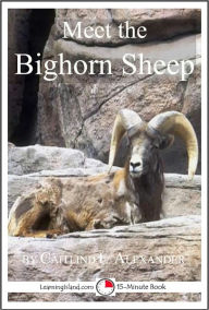 Meet the Bighorn Sheep: A 15-Minute book for Early Readers Caitlind Alexander Author
