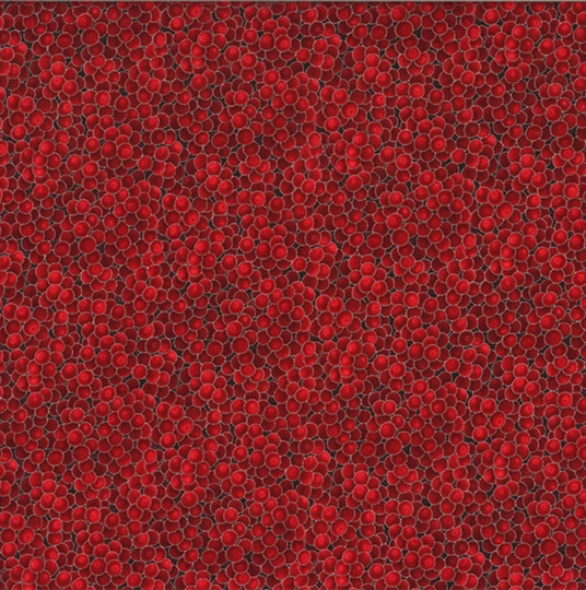 Winter Magic - Holiday Blender Red With Silver Metallic # G8556-5S-Red-Silver Hoffman Fabrics 100% Cotton Woven Fabric Choose Cut