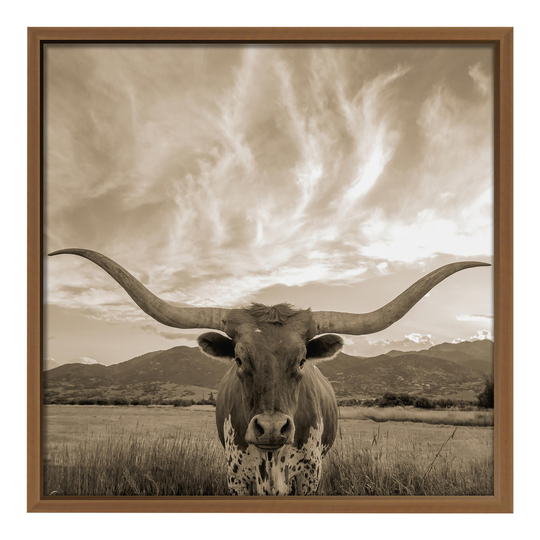 Bull Sighting Framed Wall Art: Brown - Medium by World Market