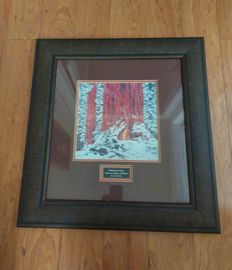 Bev Doolittle "Christmas Day, Give Or Take A Week" Framed Lithograph Quality Print, 22 X 25 Inches