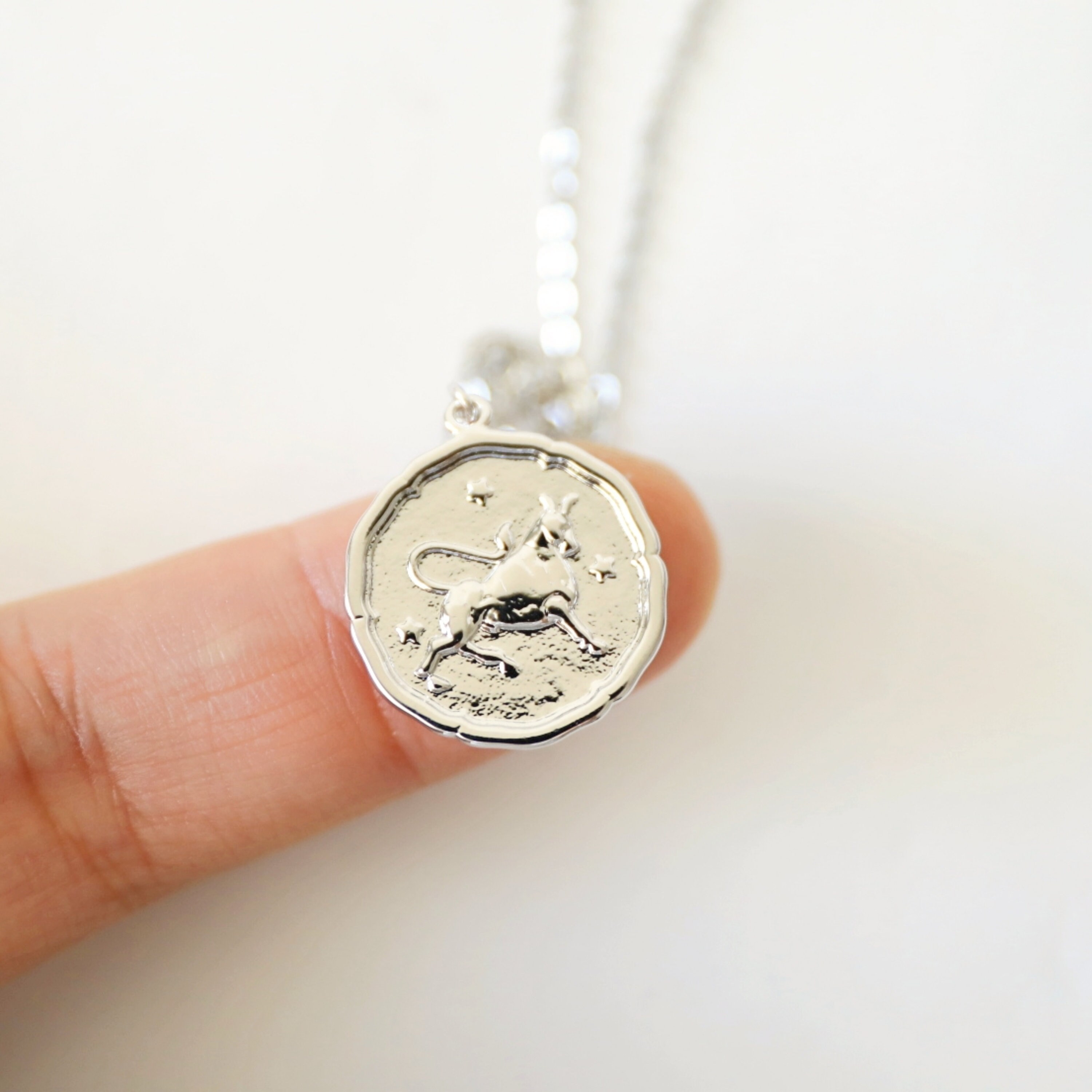 Silver Taurus Sign Coin Necklace, Zodiac Jewelry, Celestial Jewelry, Constellation May Birthday Gift, Bridesmaid Gift