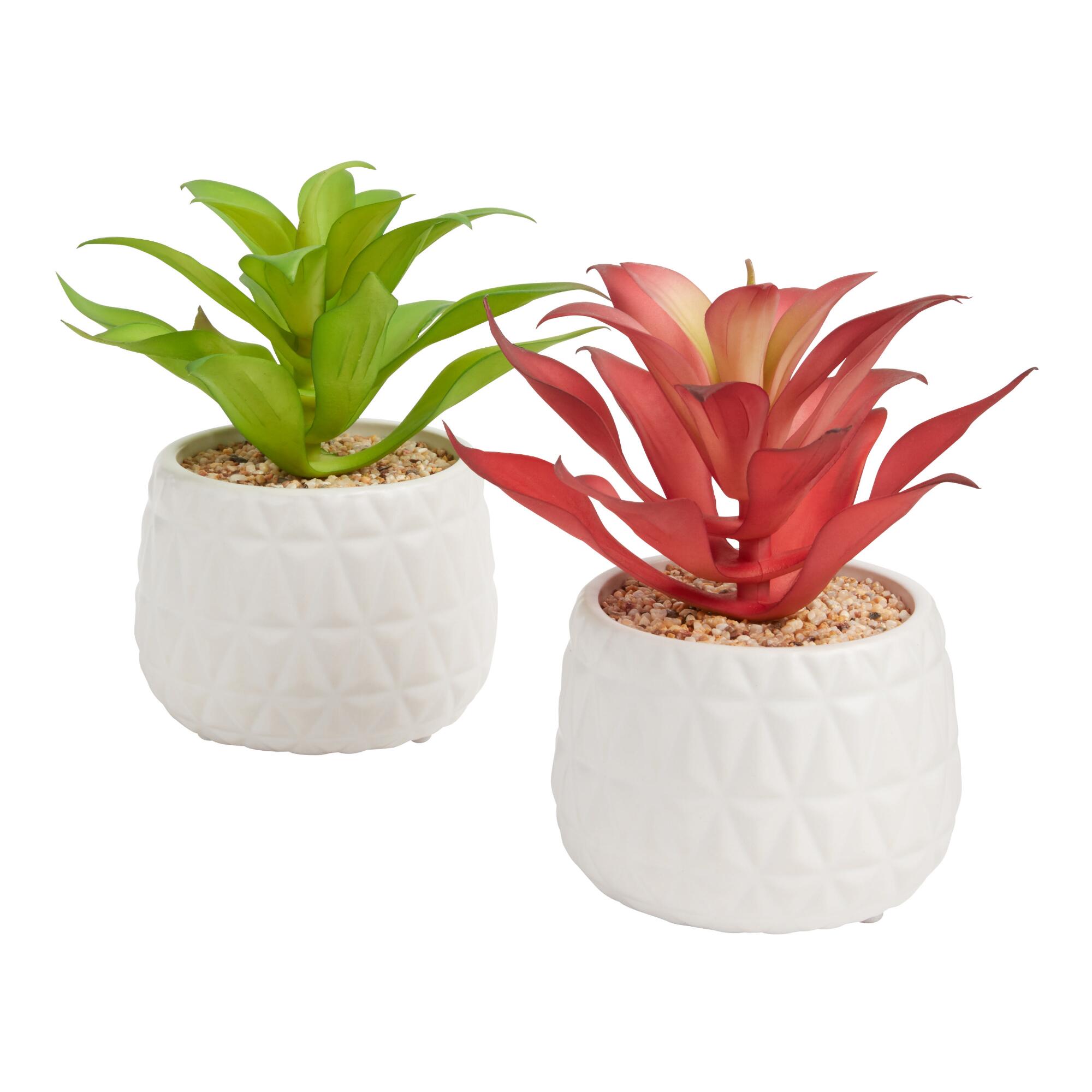 Faux Red and Green Succulents in White Geo Pots Set of 2 by World Market