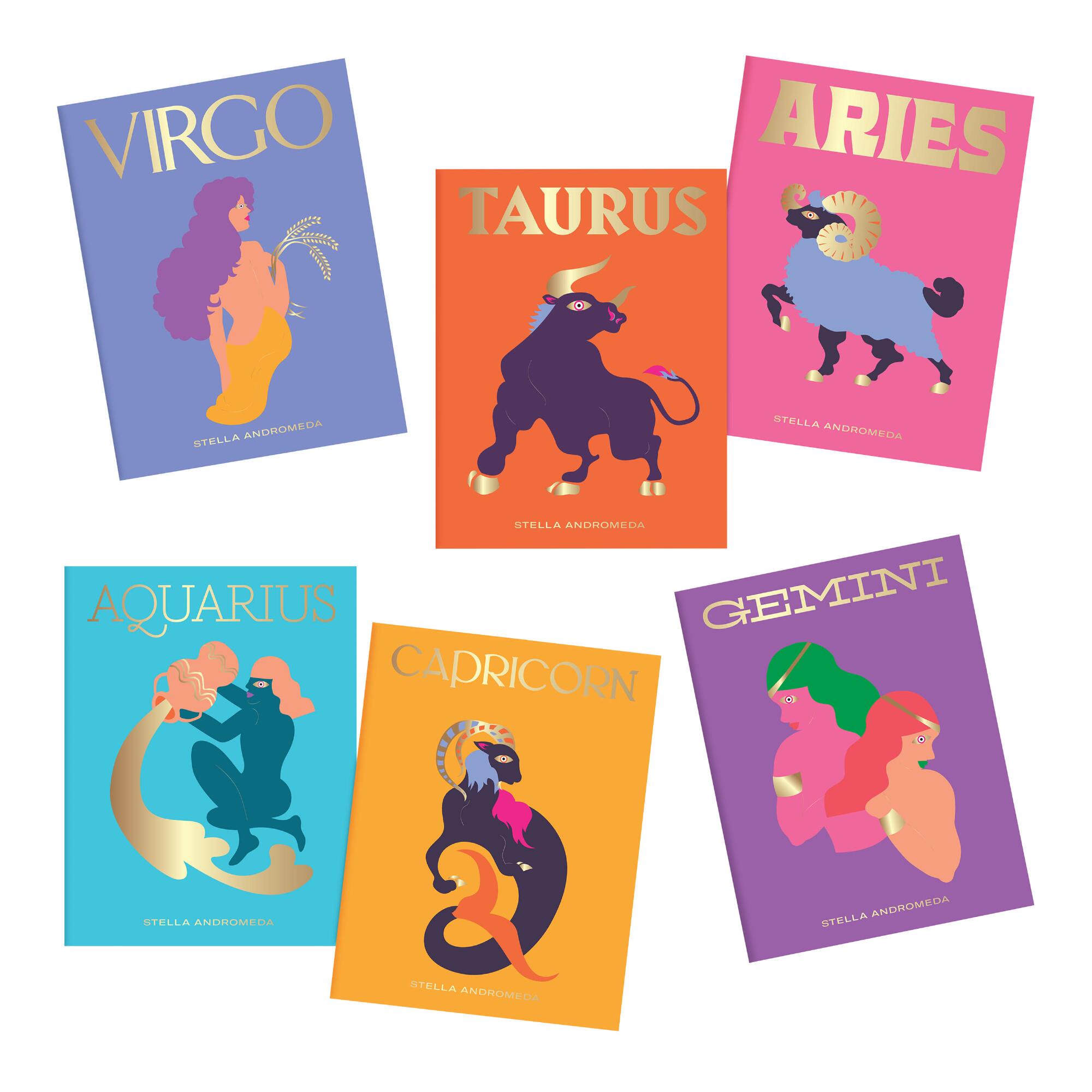 Zodiac Book: Multi by World Market