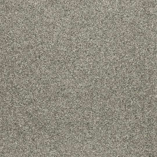 STAINMASTER Vibrant Blend I Boulevard Textured Carpet Sample (Indoor) Polyester in Gray | STP32-L006-0808