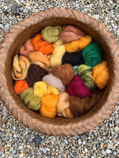 Alpaca Wool Blend Roving, 3 Ounces, "Autumn Mix"