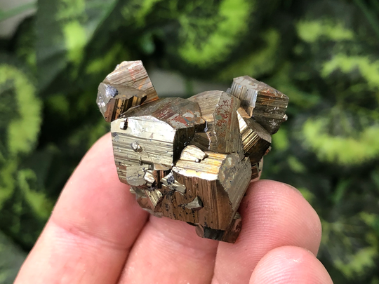 Pyrite Madan Bulgaria Natural Crystal Minerals Specimen Clusters Souvenirs