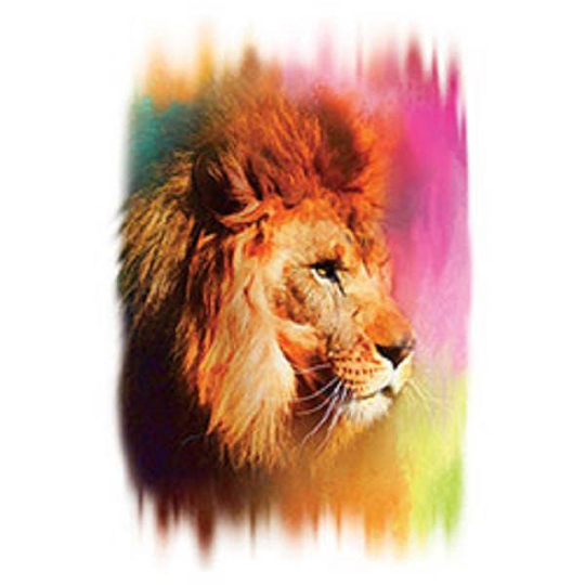 Lion Portrait T Shirt | Sweatshirt, Hoodie Available On Request #295C