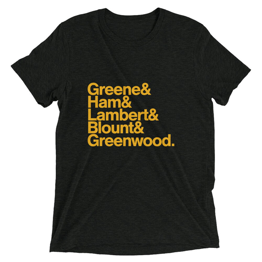 Pittsburgh's Steel Curtain Shirt