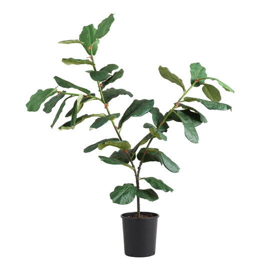 Faux Fiddle Leaf Fig Tree 57 Inch: Green by World Market