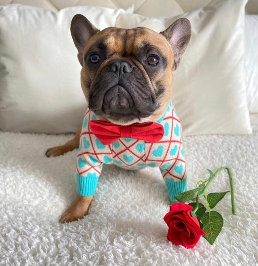 Heart Print Dog Knit Sweater