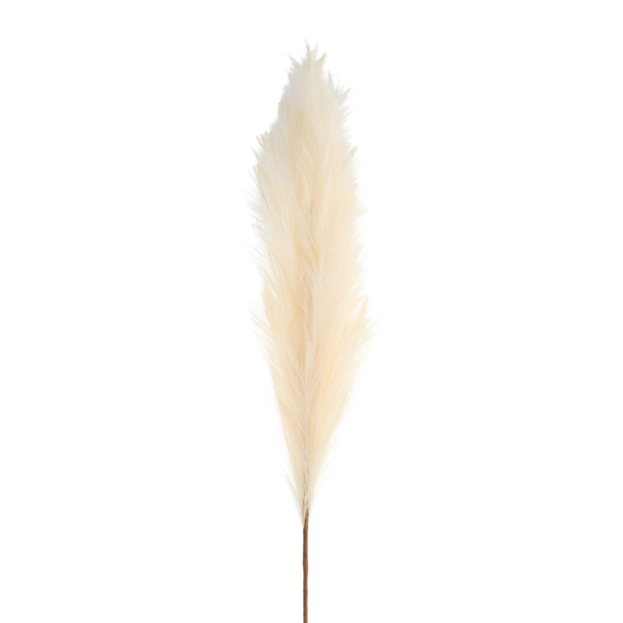Large Natural Faux Pampas Grass Stem by World Market