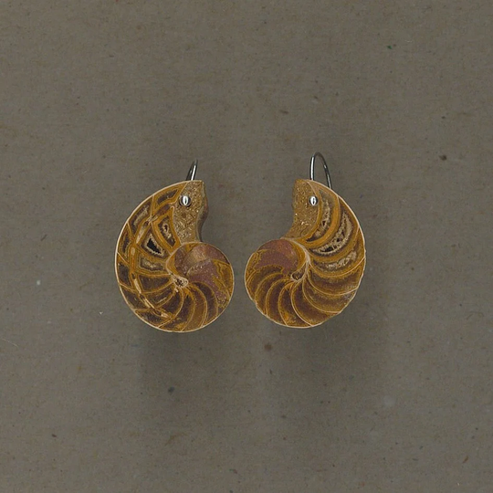 Fossil Ammonite & Sterling Silver Earrings Handmade By Chris Hay