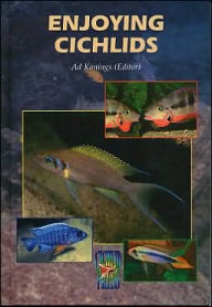 Enjoying Cichlids Ad F. Konings Author