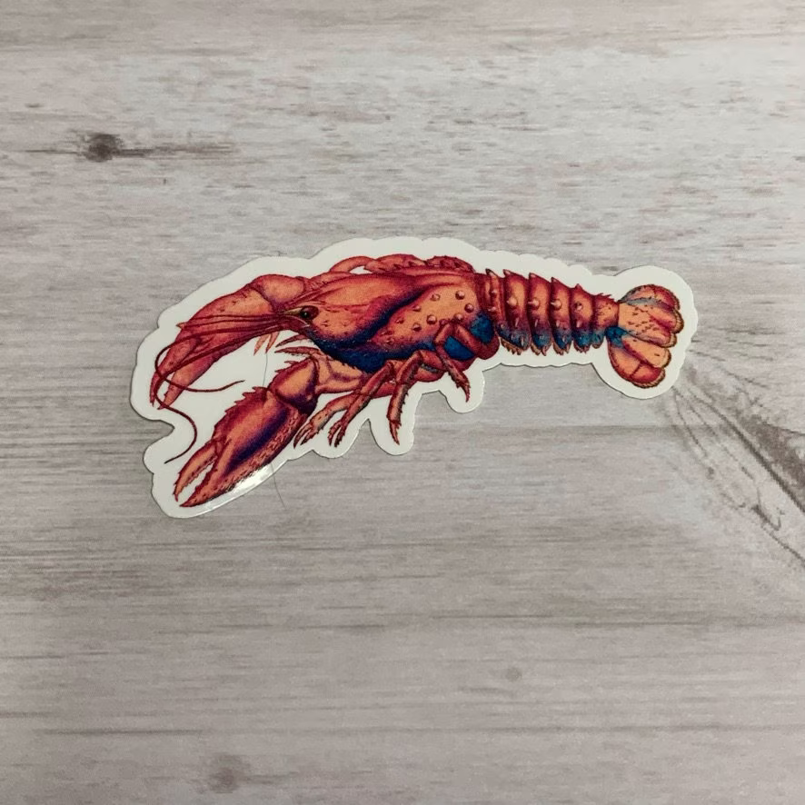 Lobster Sticker Or Magnet | Crustacean Ocean Vintage