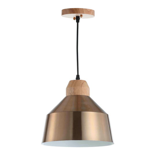 Brass and Wood Dajana Pendant Lamp: Metallic by World Market