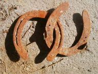 Horse Hoof Care Guide Bella Ramírez Author