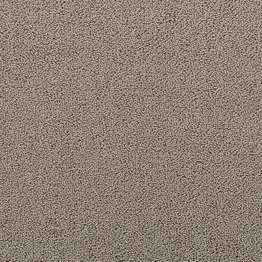 STAINMASTER Vibrant Blend I Mushroom Textured Carpet Sample (Indoor) Polyester in Brown | STP32-L008-0808