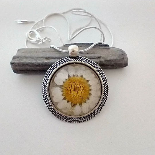 Daisy Necklace, Pressed Flower Gift For Her