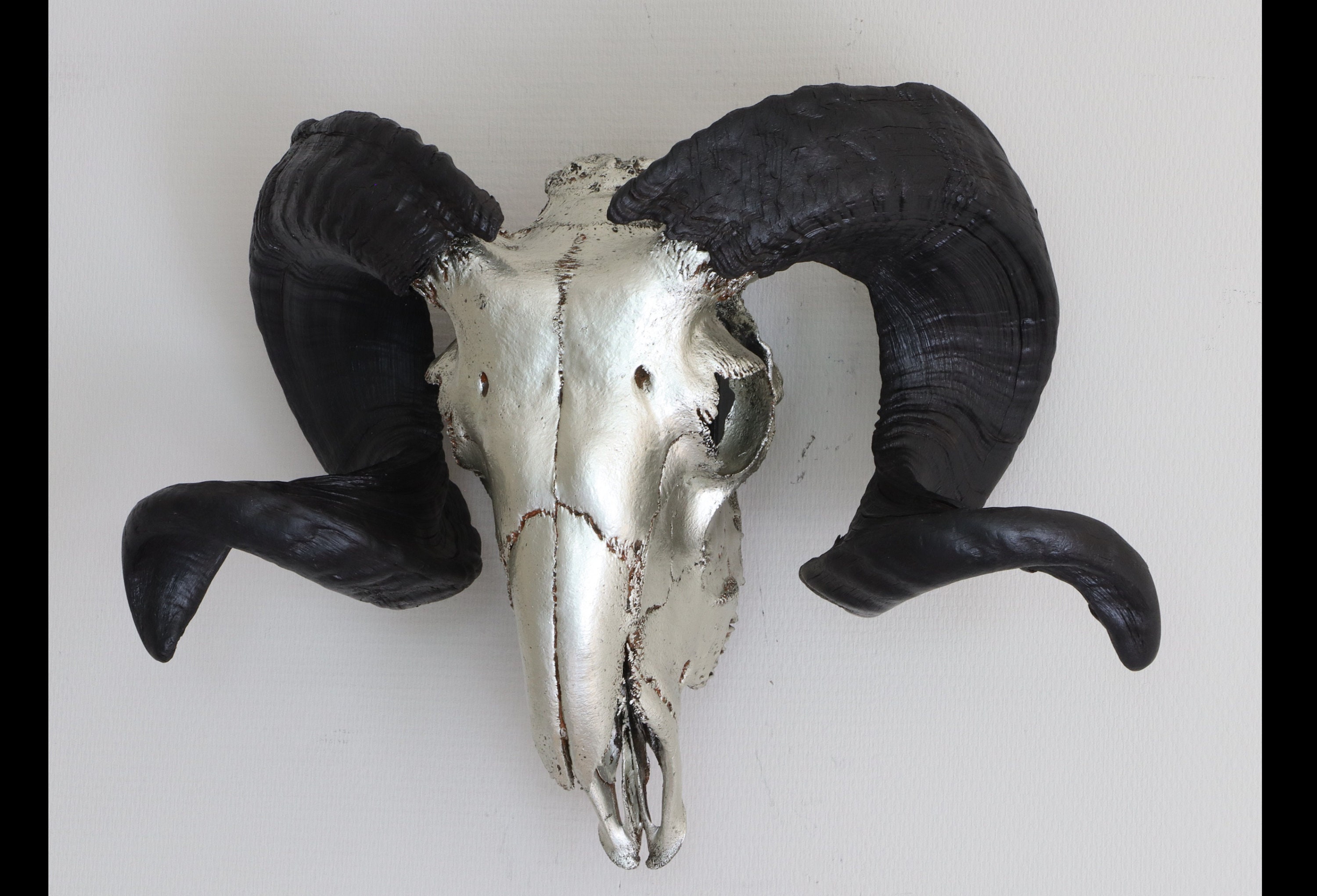 Ram Skull Wall Mount, Real Ram Decor, Metal Living Room Decoration, Wall Hanging, Real