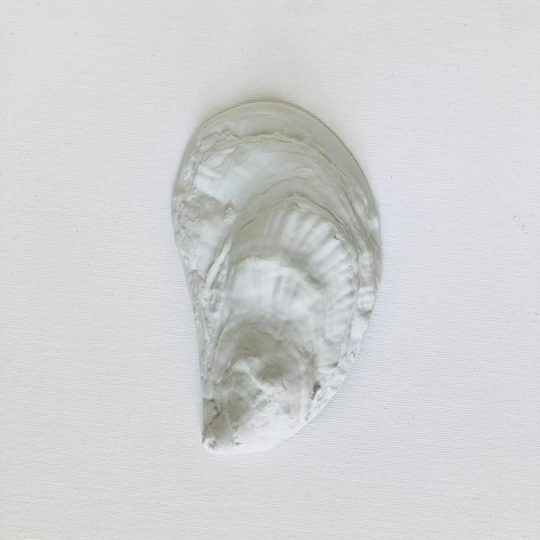 Oyster Dish