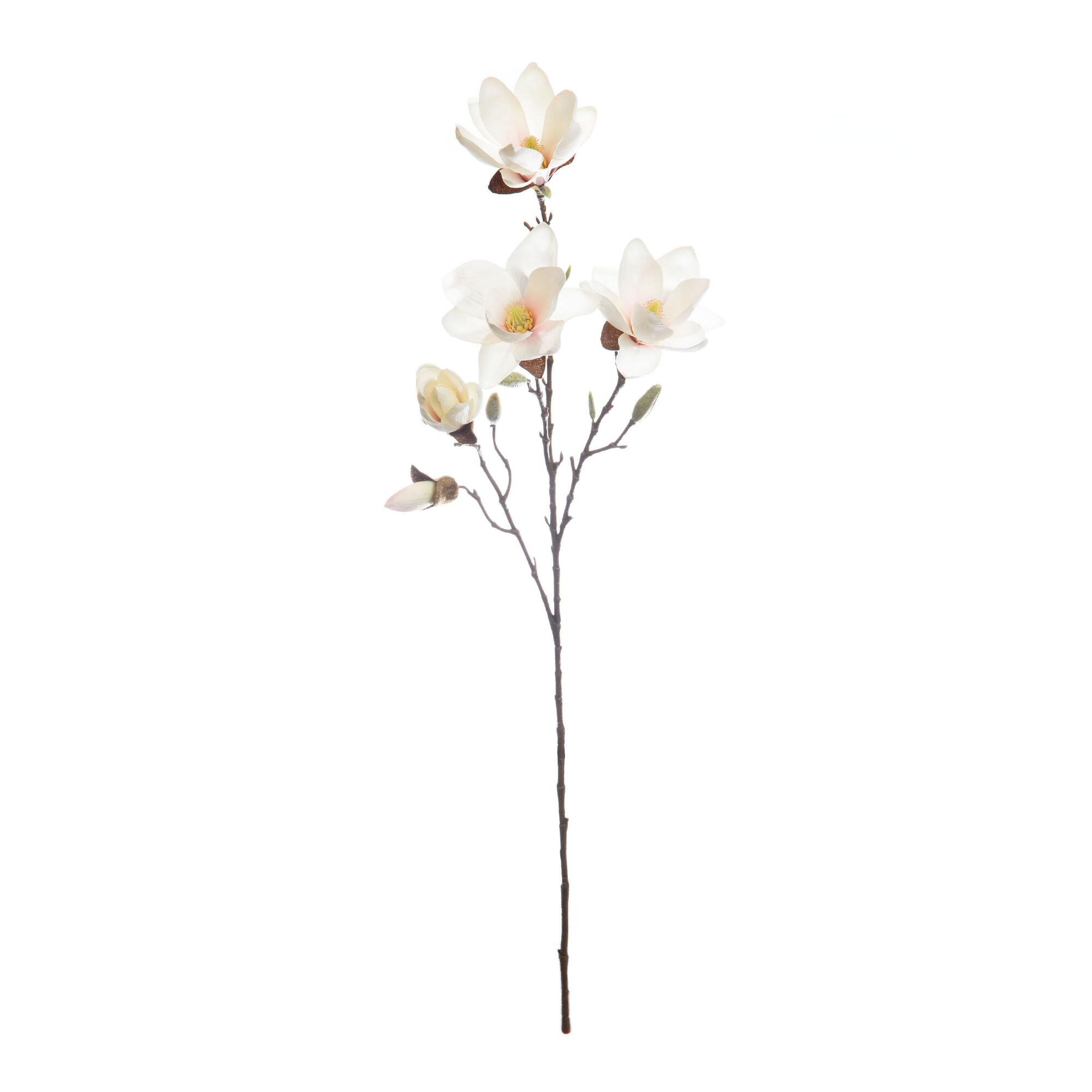 Faux Cream Magnolia Stem - Plastic by World Market